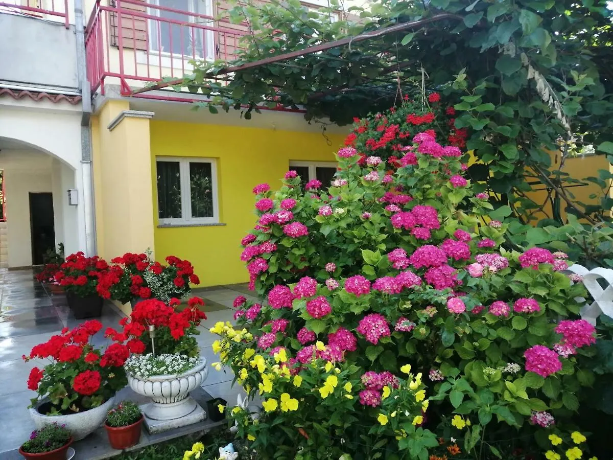 Apartments Sara Labin   Labin (Istria)