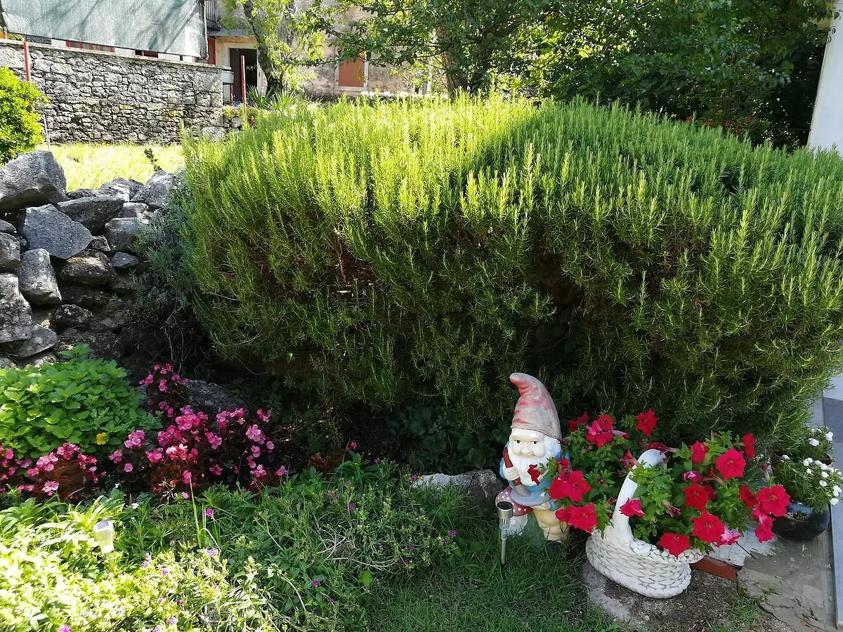 Apartments Sara Labin  Croatia